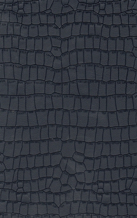 100164