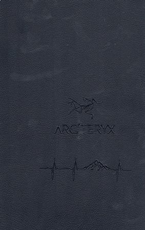 10039