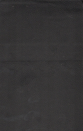10044