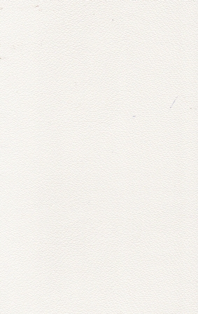 10046