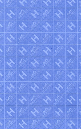 10062