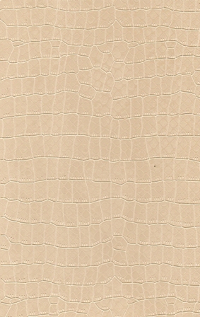 100106