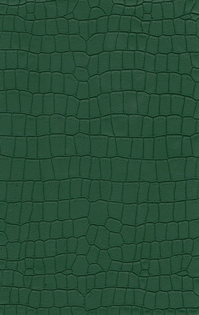 10016