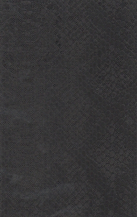 10025