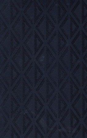 10031