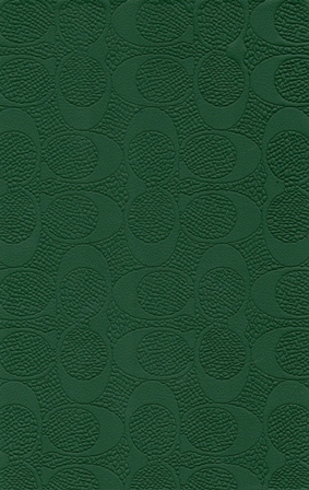 10035