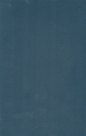 10045