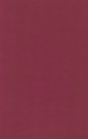 10047