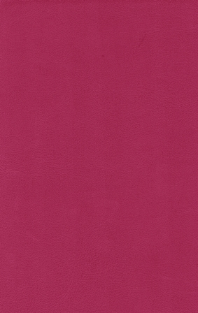 10051