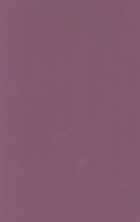 10052